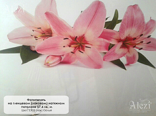 Фотопечать на глянцевом натяжном потолке (лилии) от "Алези"